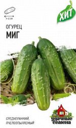 Огурец Миг ЦВ/П (ГАВРИШ) 0,5гр Серия ХИТ среднеранний