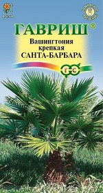 Цветы Вашингтония Санта-Барбара ЦВ/П (ГАВРИШ) 3шт комнатное