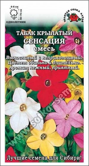 Цветы Табак Душистый Сенсация смесь ЦВ/П (СОТКА) 0,1гр однолетник 50-70см