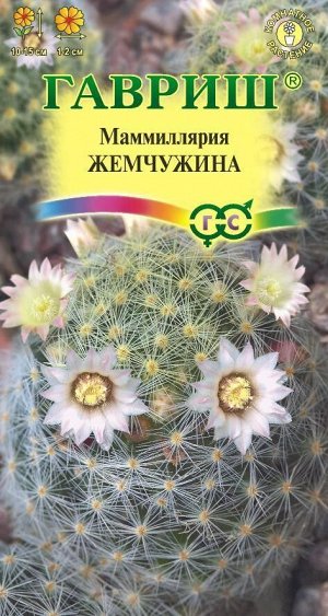Цветы Маммиллярия Жемчужина ЦВ/П (ГАВРИШ) 2шт комнатное кактус