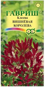 Цветы Клеома Вишнёвая Королева ЦВ/П (ГАВРИШ) 0,3гр однолетник до 1,5м