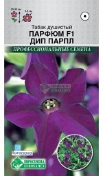 Цветы Табак Душистый Парфюм Дип Парпл ЦВ/П (ЕС) 10шт однолетник 25-30см