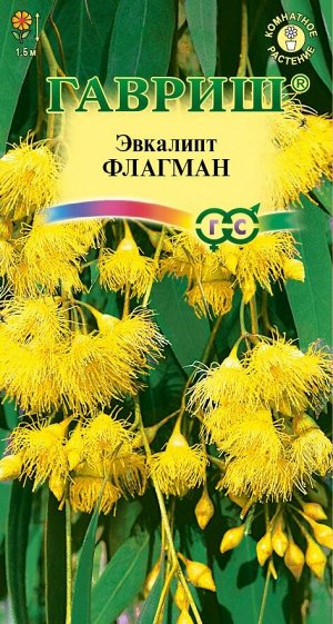 Цветы Эвкалипт лимонный Флагман ЦВ/П (ГАВРИШ) 0,05гр комнатное 1,5 м