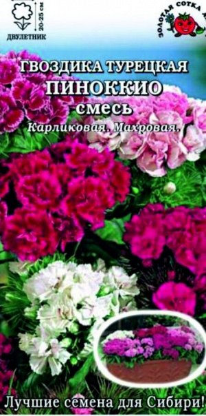 Цветы Гвоздика турецкая Пиноккио Смесь ЦВ/П (СОТКА) 0,2гр двулетник 20см