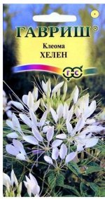 Цветы Клеома Хелен белая ЦВ/П (ГАВРИШ) 0,3гр однолетник до 1,5м