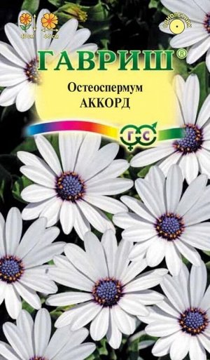 Цветы Остеоспермум Аккорд белый ЦВ/П (ГАВРИШ) 0,1гр однолетник до 1м