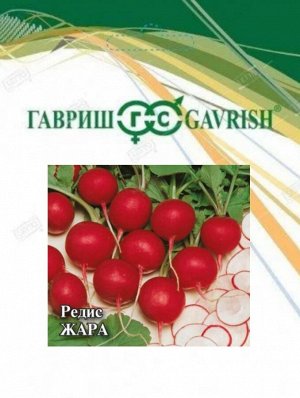 Редис 25гр Жара ЦВ/П (ГАВРИШ) скороспелый