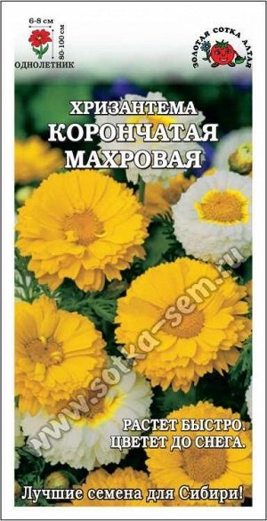 Цветы Хризантема Корончатая махровая ЦВ/П (Сотка) 0,2гр однолетник до 1м