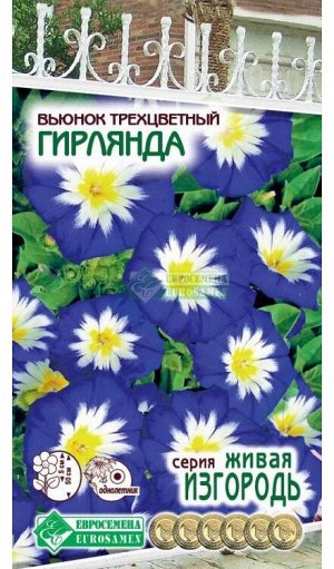 Цветы Вьюнок Гирлянда Трёхцветный ЦВ/П (ЕС) 1гр однолетник 50см