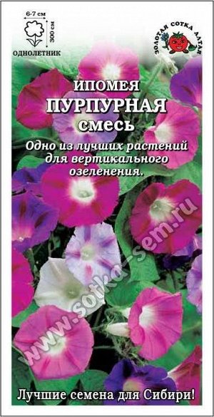 Цветы Ипомея Пурпурная Смесь ЦВ/П (Сотка) 1гр однолетник до 3м