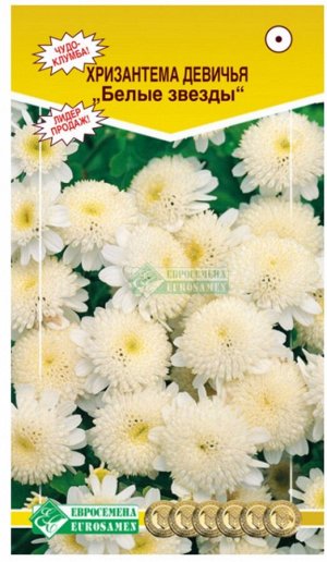 Цветы Хризантема Белые Звёзды ЦВ/П (ЕС) 0,05гр однолетник до 25см