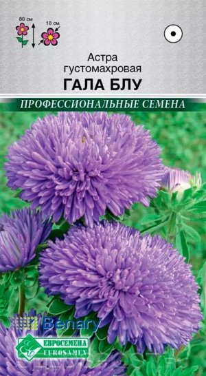 Цветы Астра Гала Блу густомахровая ЦВ/П (ЕС) 10шт однолетник до 80см