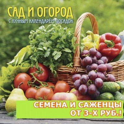 Подготовка к Дачному сезонум🏡 Семена всех культур!
