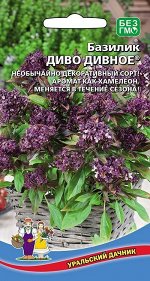 Базилик Диво Дивное® (УД) Новинка!!!