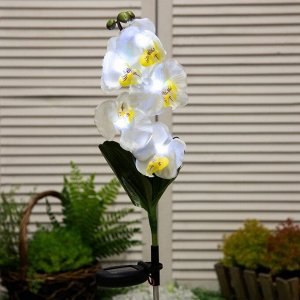 Садовый светильник на солнечной батарее «Белая орхидея», 74 см, 5 LED, свечение белое, УЦЕНКА