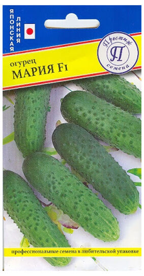 Огурец "Мария" F1