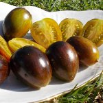Помидоры Атомный Виноград Бреда — Brad’s Atomic Grape Tomato