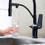 Смеситель LEMARK двойной — с краном для фильтра