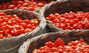 Помидоры Черри Санторини — Cherry Santorini Tomato