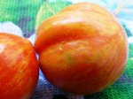 Экзотическая Комната