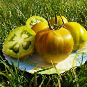 Помидоры — Green Bell Pepper — Перцевидный Зелёный
