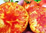 Двухцветная Комната