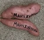 Батат Маньчурский
