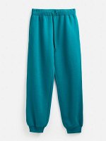 Брюки детские для мальчиков Pochester pants синий