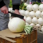 Сёгоин Дайкон — Shogoin Daikon — 聖護院大根
