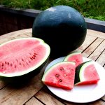 Хуми Субак — Чёрный Рисовый Скороспелый Арбуз из Кореи — 흑미수박