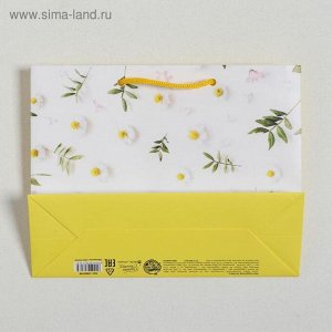 Пакет ламинированный горизонтальный «Цветочное счастье», MS 23 × 18 × 8 см