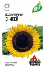 С Подсолнечник Енисей масличный, ультраранний ХИТ 5гр Гавриш/ЦВ