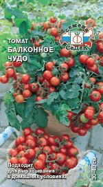 С Томат Балконное Чудо низкор, скороспелый, красный 30-40гр 0,1гр Седек/ЦВ