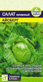 Салат Айсберг кочанный, среднеспелый 0,5гр СА/ЦВ