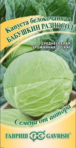 Капуста бк Бабушкин Разносол среднеспелая, для квашения 0,5гр Гавриш/ЦВ