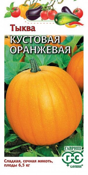 С Тыква Кустовая Оранжевая среднеспелая, кустовая 1гр Гавриш/ЦВ