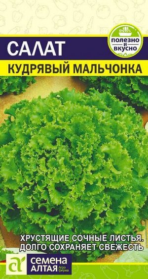 Салат Кудрявый Мальчонка листовой, среднепоздний 0,5гр СА/ЦВ