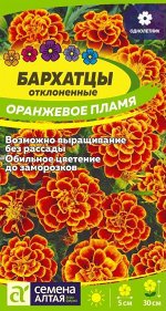 Бархатцы Оранжевое Пламя откл, красно-оранжевые с желтой каймой, до 30см, однол 0,2гр СА/ЦВ