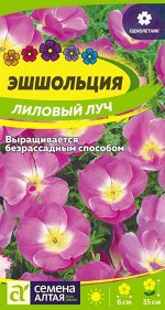 Эшшольция Лиловый Луч лиловая, до 35см, однол 0,2гр СА/ЦВ