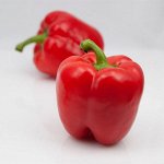 Перец сладкий КЛАУДИО F1  Nuhems 5 шт.