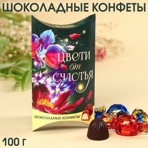 Шоколадные конфеты «Мечтай» с начинкой, 100 г.