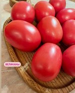ВЕЛИКАНЫ