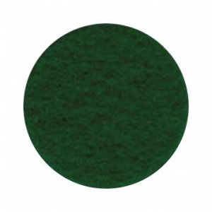 Декоративный фетр 1,2 мм; 22*30*см (цвет зеленая ель), 5 листов