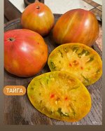 ТАЙГА / Taiga