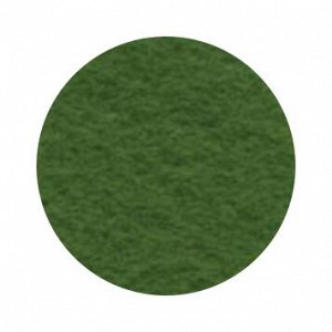 Декоративный фетр 1,2 мм; 22*30*см (цвет листва), 5 листов