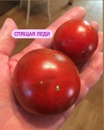 &quot; Гном СПЯЩАЯ ЛЕДИ &quot;