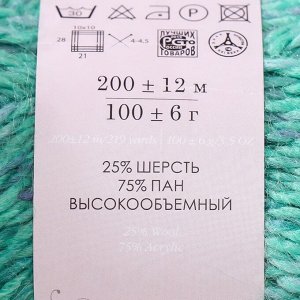 Пряжа "Радужный стиль" 25% шерсть, 75% ПАН 200м/100гр (1140 М)
