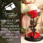 ✨ Para Ella - Живая роза в стеклянной колбе Скидка до 80%