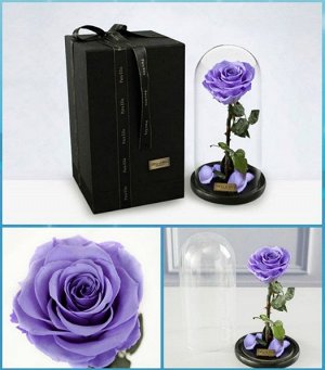 Фиолетовая роза, Premium 25 см