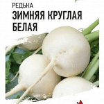 Редька. Дайкон. Репа